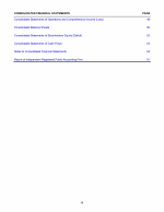 Consolidated Financial Statements