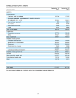 - Consolidated Balance Sheets