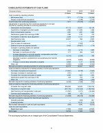 - Consolidated Statements of Cash Flows