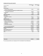 - Consolidated Balance Sheets