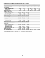 - Consolidated Statements of Stockholders' Equity (Deficit)