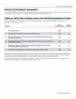 Proxy Statement Summary